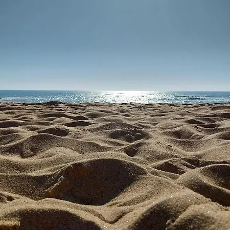 Apartman T2 Cosy Avec Balcon Apercu Aux Sables D'olonne *