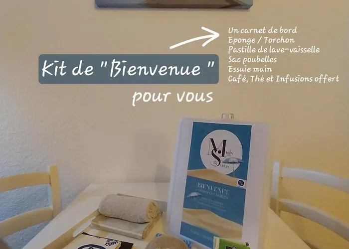 T2 Cosy Avec Balcon Apercu Aux Sables D'olonne